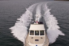 Saberliner
