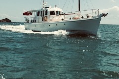 IMG_2168 IMG_2168