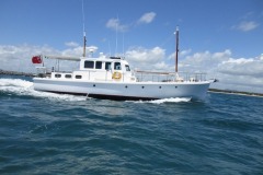 IMG_2169 IMG_2169